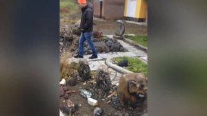 Парк камней в Междуреченске