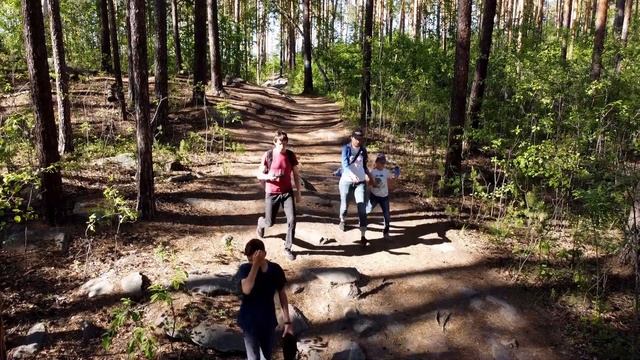 СКАЛЫ ЧЕРТОВО ГОРОДИЩЕ. Как добраться до скал пешком. смотреть онлайн
