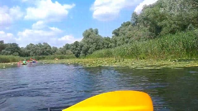 Байдарки июль 2019 смотреть онлайн