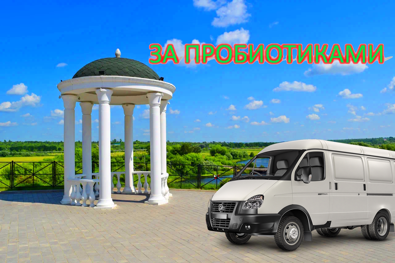 Доставка куриного корма на цельнометаллической Газели 2705. Авария на М4. #2705 #газель #дальнобой