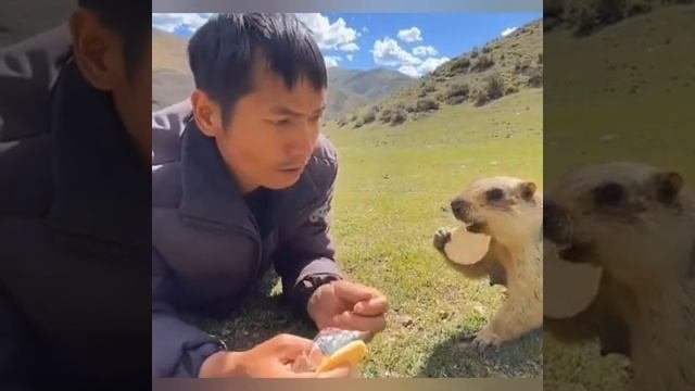 ?Ну очень вкусное печенье ??