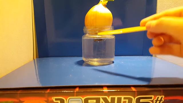 Эксперимент 《Луковица》 смотреть онлайн