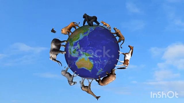 крупные собаки ♡♡♡ смотреть онлайн