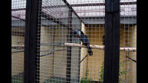 Парк Птиц "Воробьи" под Обнинском