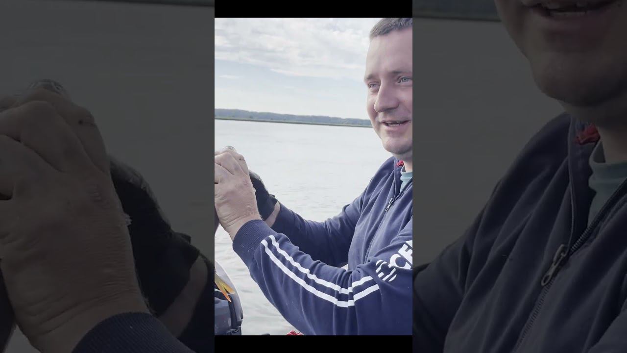 Жадность окуня сгубила #fishing #рыбалканасевере #carpfishing #carp #нарыбалку #палатка #карп #север смотреть онлайн