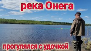 Прогулялся с удочкой по реке Онеге.