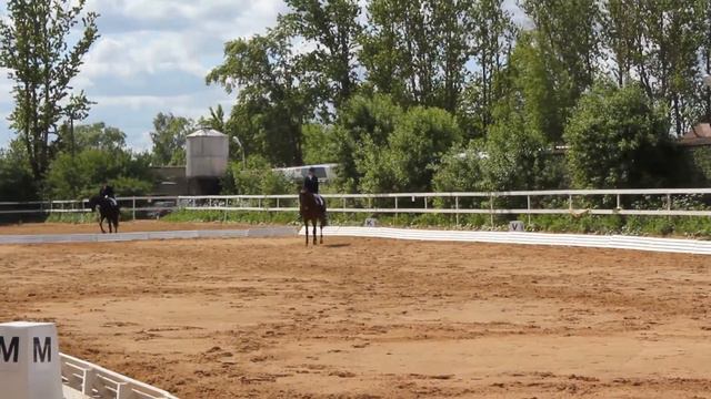 Марианна на Прадо. 1-е соревнование. 04.06.2016. смотреть онлайн