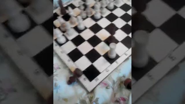 Шахматные приколы &1