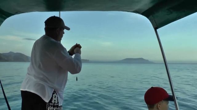 Ловля ставриды с катамарана. Крым, п. Новый Свет,10.06. 2015. смотреть онлайн