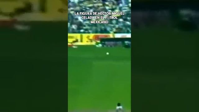 La figura de Héctor Miguel Zelada en el fútbol mexicano #futbol #mexico #ligamx #clubamerica #short