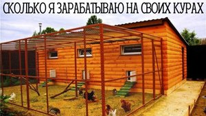 Курятник на даче. Сколько ЗАРАБАТЫВАЮ НА ЯЙЦАХ