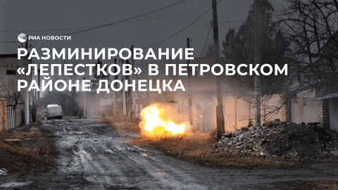 Разминирование "лепестков" в Петровском районе Донецка