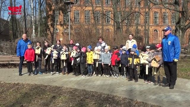 скворечники
