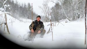 Прячась от волков, кабан пришел в деревню.