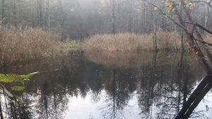 ЛОВЛЯ ЖИВЦА НА ЭКРАН СТАВЛЮ ЖЕРЛИЦЫ ЭТО ВАМ НЕ ОКА