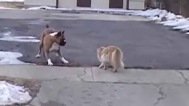 Смелость горада берёт! смотреть онлайн