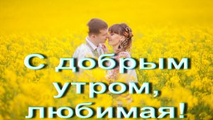 Песня С добрым утром, любимая!