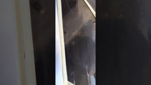 как убрать царапины на стекле.
