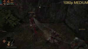 Elden Ring: GTX 1060 6GB | 1080p Low - Max Settings |i7 2600 |12GB |