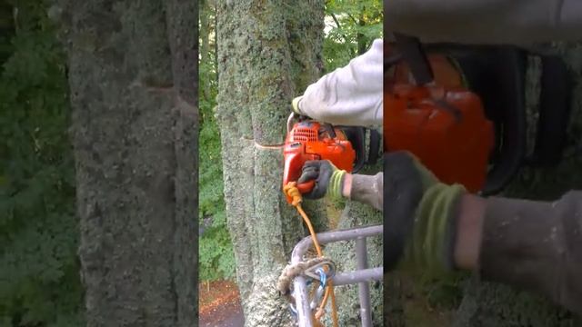 Felling from a different level смотреть онлайн