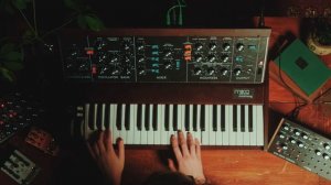 Moog Minimoog Model D Analog Synthesizer | Russo Music