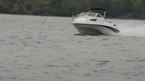 Морской Кот SF620 3