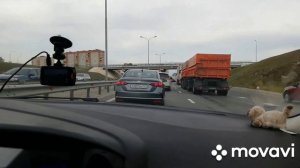 Матвеев Курган, трасса М4дон, едем Домой.