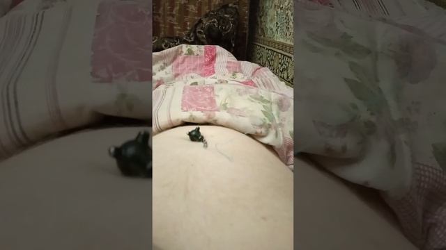 1803?УПРАЖНЕНИЕ?«КУЗНЕЧИК»!Лучшее упражнение/тренеровка ЖКТ,брюшины, диафрагмы,мочеполовой системы