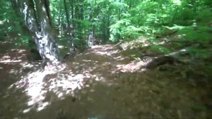 Эндуро покатушки MotoLand  250 XT250 ST