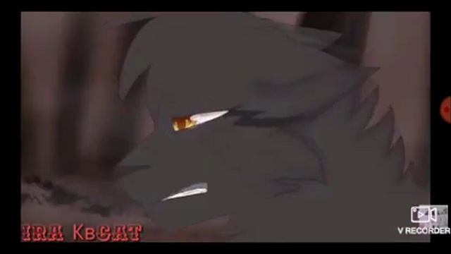 История животных смотреть онлайн