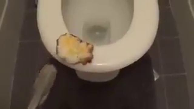 Вот как надо готовить в общаге