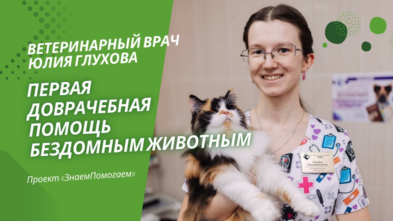 Ветеринарный врач Юлия Глухова о первой доврачебной помощи бездомным животным