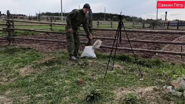 Как мы сажаем картошку? Чувашский способ! смотреть онлайн