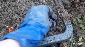 Посадка тюльпанов в кашпо