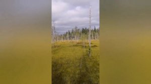 Каракат Охотник М! выезд на рыбалку ???