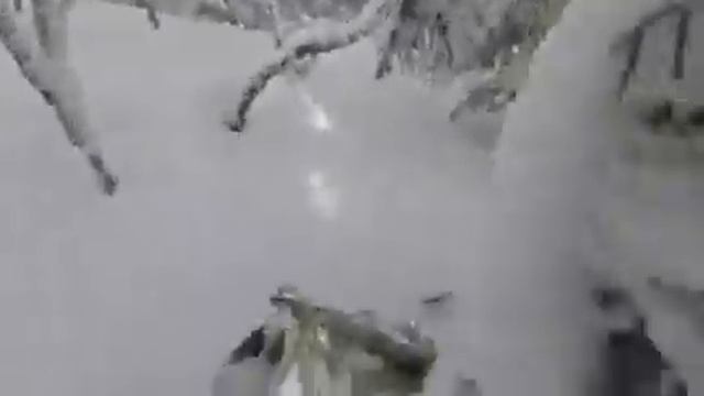 Snowmobiling in deep powder Bluebird day смотреть онлайн