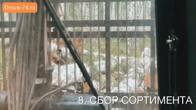 КАК БЫСТРО заготовить ДРОВА и КРЯЖ? 700м3 леса за 20 дней с помощью Вальщика и Тракториста ? смотреть онлайн