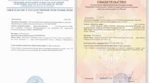 Когда можно продать квартиру, после вступления в наследство