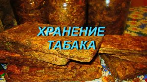 ДНЕВНИК ТАБАКОВОДА № 56 (19.10. Хранение табака ) ТАБАК