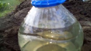 Капельный полив бутылками -всё гениально и просто.mp4