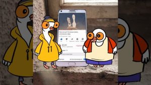 Пиджены 16. Самсунь