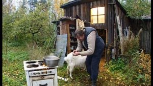 Городок. Модест и козьи шарики (Реклама)