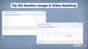 How To Improve SEO Rankings in 2023| NetElixir