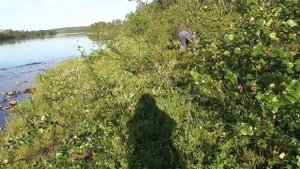 Рыбалка на Кольском день рыбака на реке Териберка.