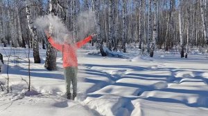 чудесная прогулка в лесу