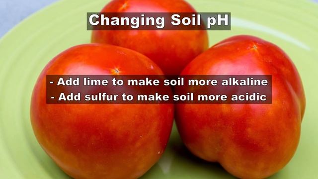 How to test your garden soil for pH & nutrients using a soil testing kit смотреть онлайн