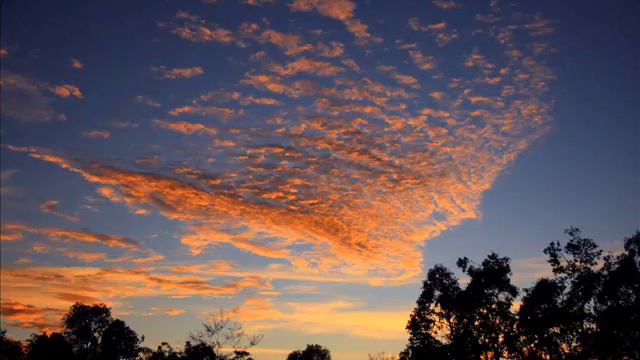 twilight ellegia смотреть онлайн