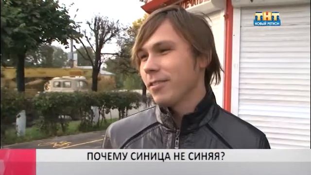 Есть вопрос: ПОЧЕМУ СИНИЦА НЕ СИНЯЯ? смотреть онлайн