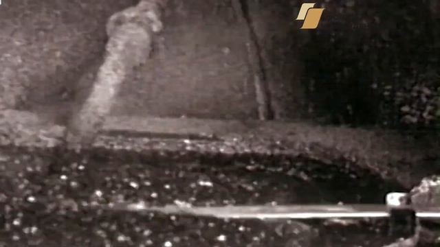 Прогулки по Воткинску выпуск 1