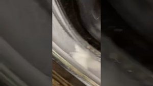 Стиральная машина LG FH4A8TDN2 с turboWash , работа форсунки во время отжима